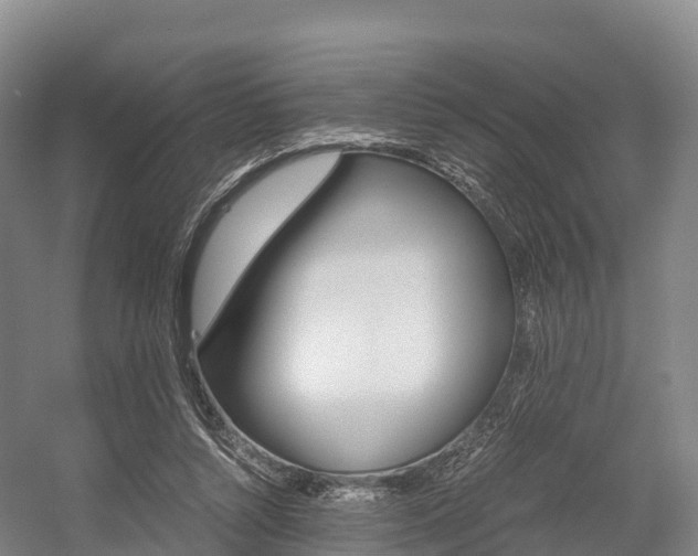 X0000055980352200508190735