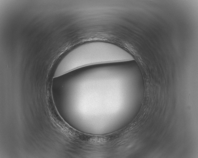 X0000055980354200508190735