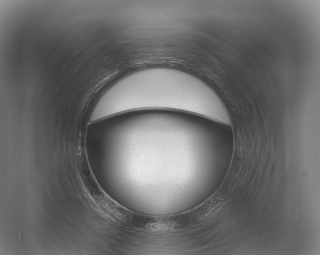 X0000055980356200508190735