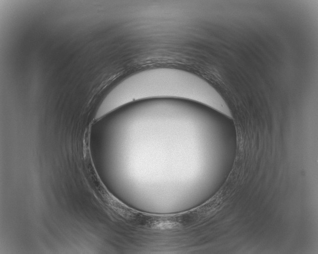 X0000055980360200508190735