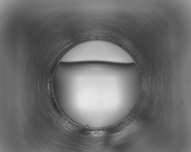 X0000055980363200508190735