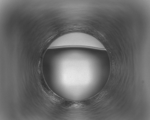 X0000055980364200508190735