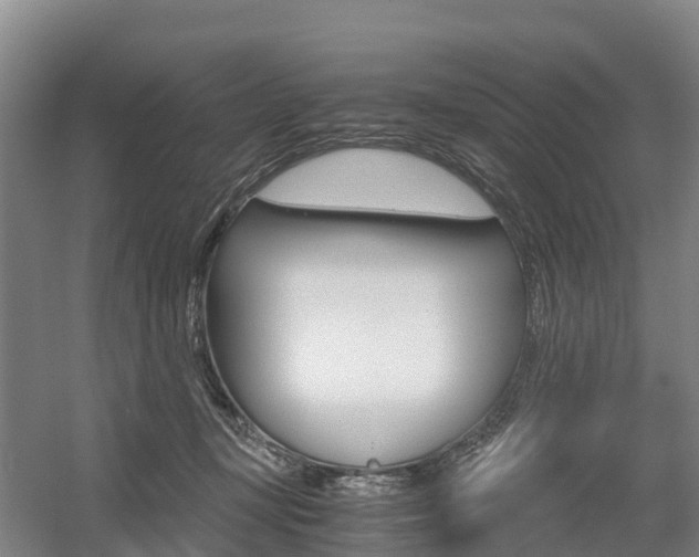 X0000055980367200508190735