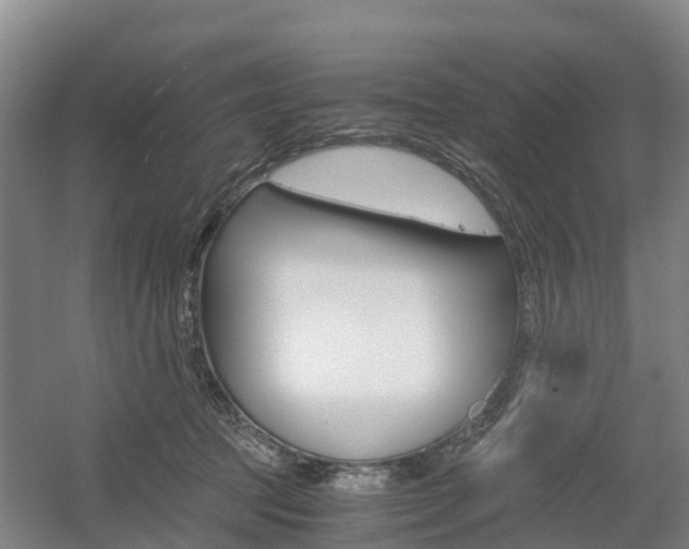 X0000055980369200508190735