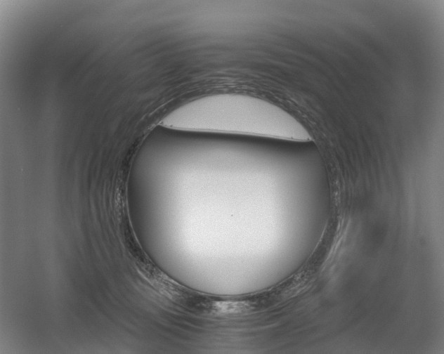 X0000055980371200508190735