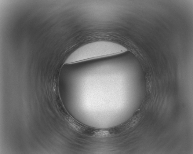 X0000055980374200508190735