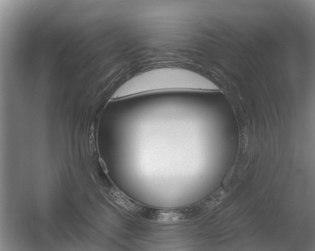X0000055980376200508190736