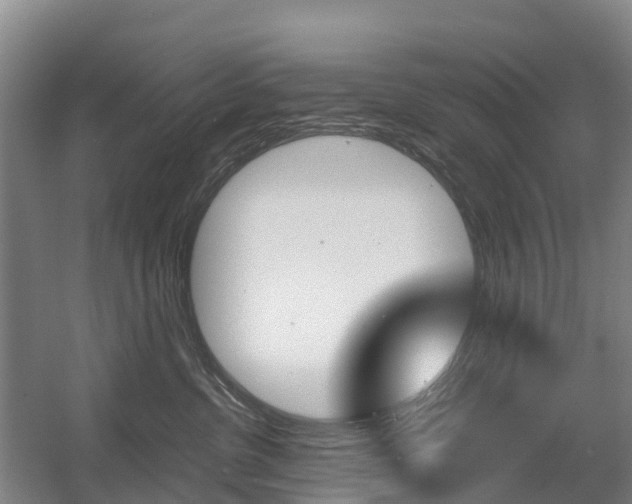 X0000055980380200508190736
