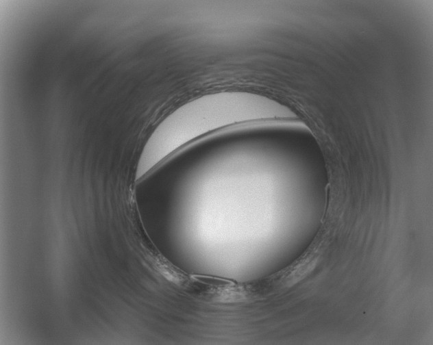 X0000055980384200508190736