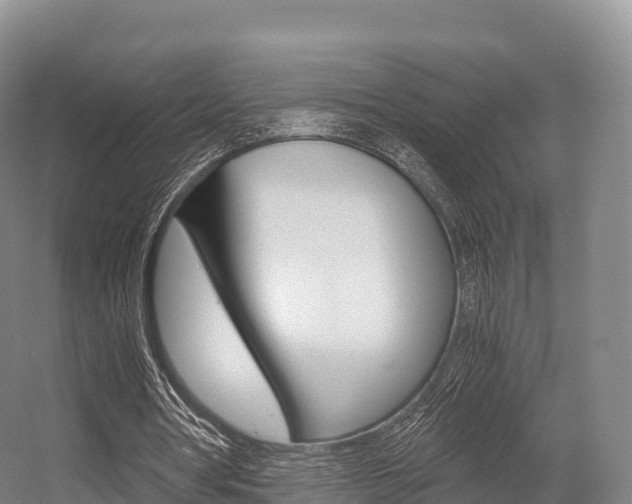 X0000055980386200508190735