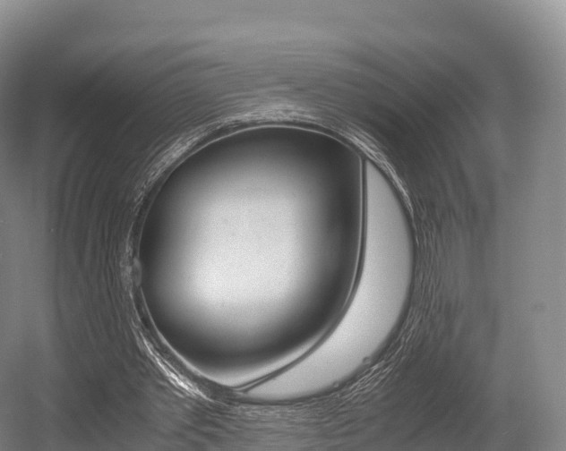X0000055980389200508190735