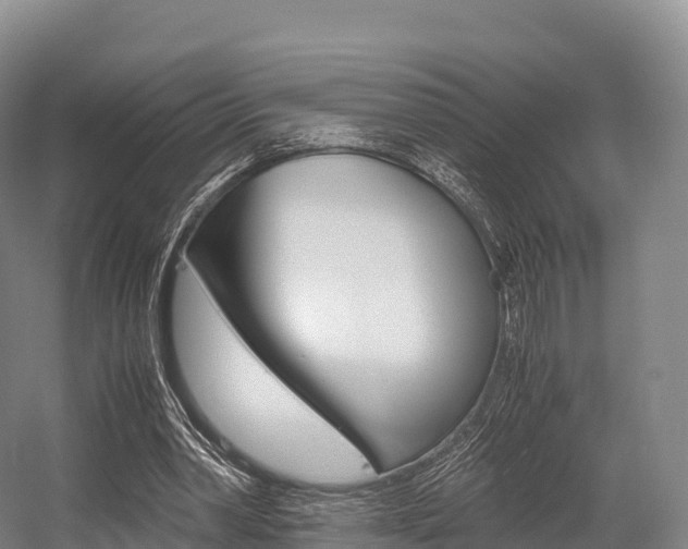 X0000055980390200508190735