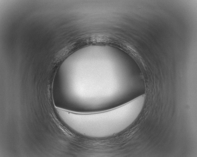 X0000055980401200508190735