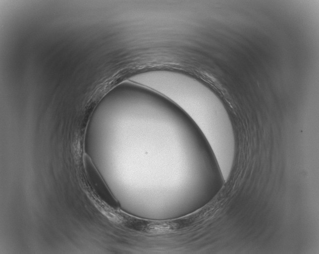 X0000055980405200508190734