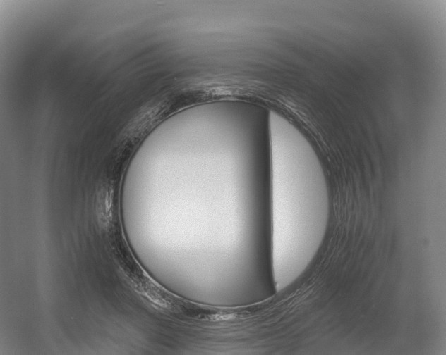 X0000055980406200508190734
