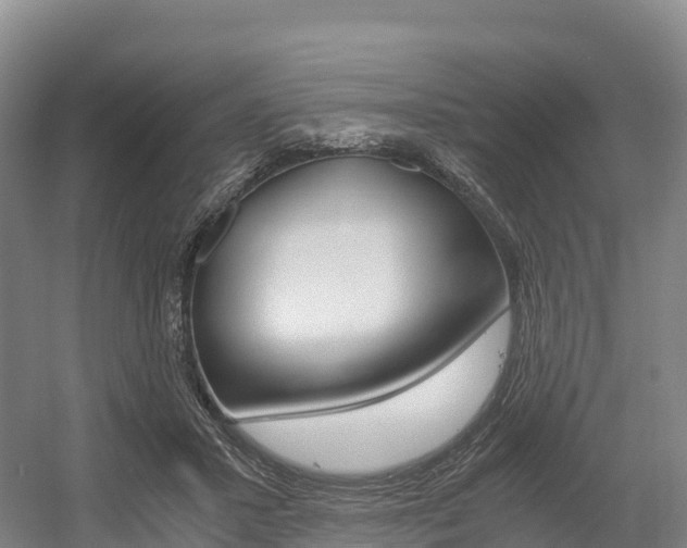 X0000055980407200508190734