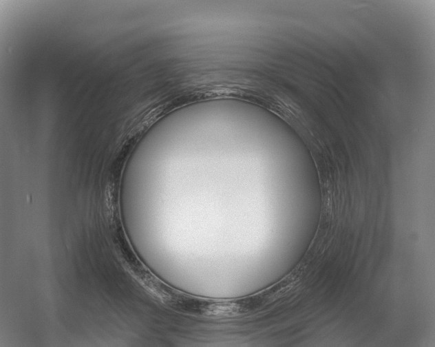 X0000055980410200508190734