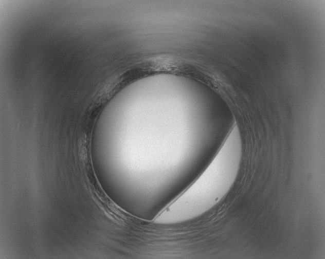 X0000055980413200508190734