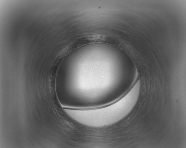 X0000055980416200508190734