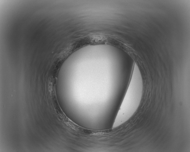 X0000055980417200508190734