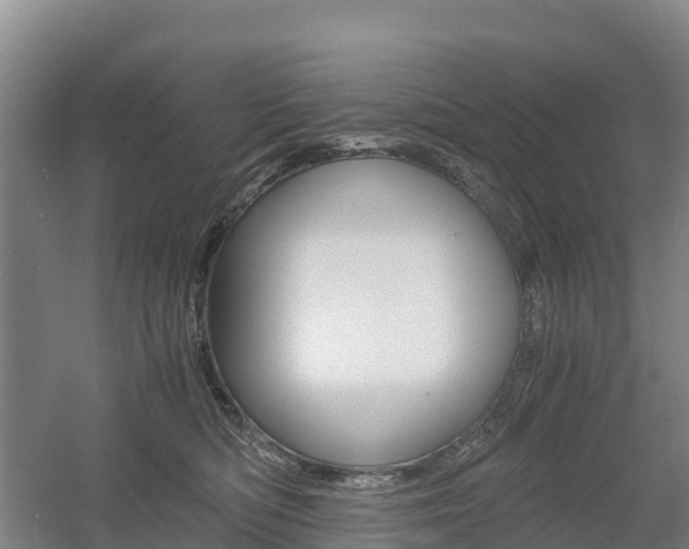 X0000055980422200508190734