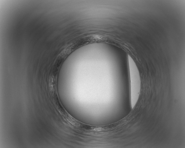 X0000055980423200508190734