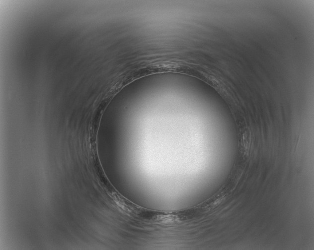X0000055980424200508190734
