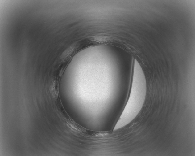 X0000055980428200508190734