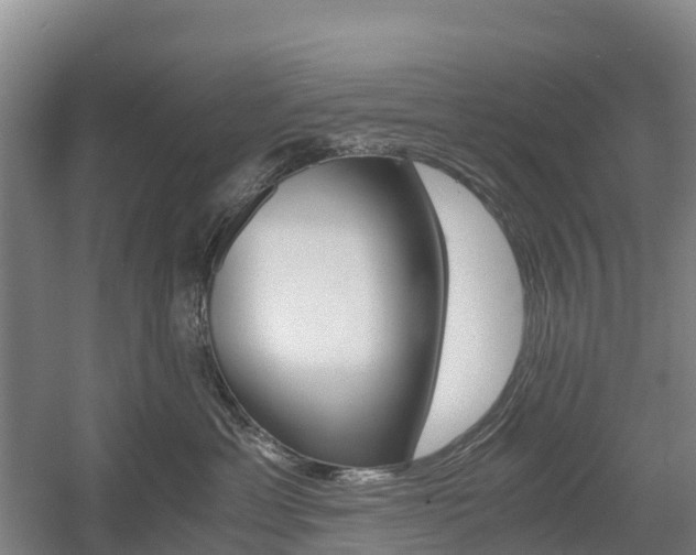 X0000055980429200508190734