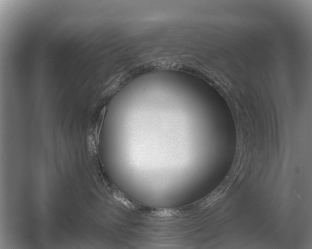 X0000055980432200508190734