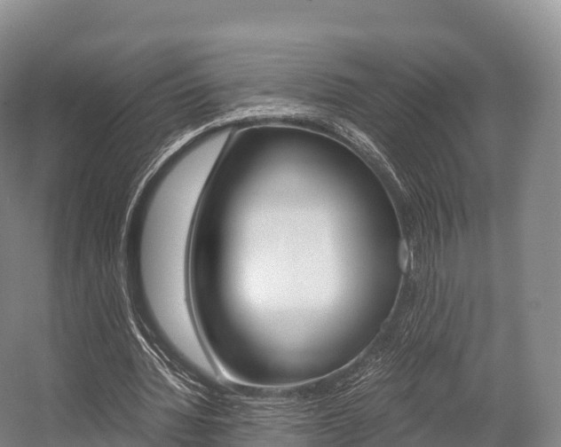 X0000055980436200508190733