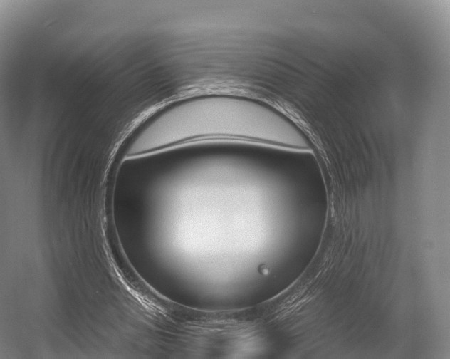 X0000055980438200508190733