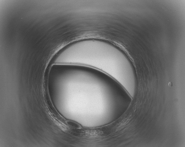 X0000055980439200508190733