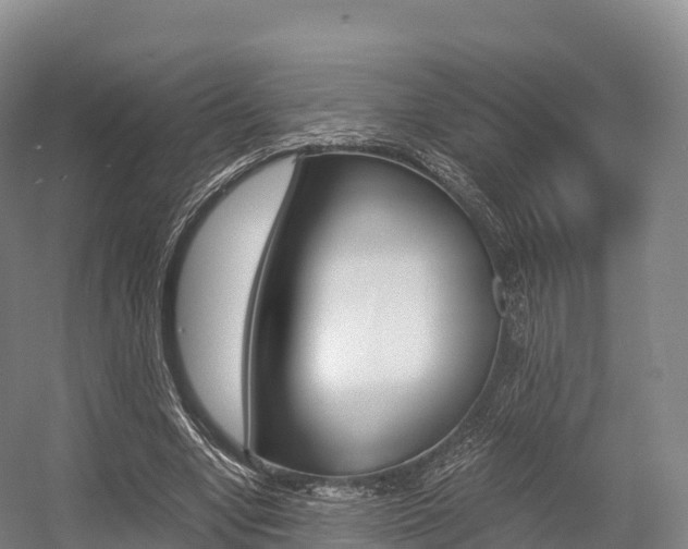 X0000055980442200508190733