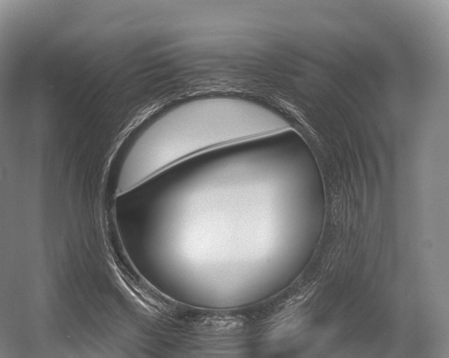 X0000055980443200508190733