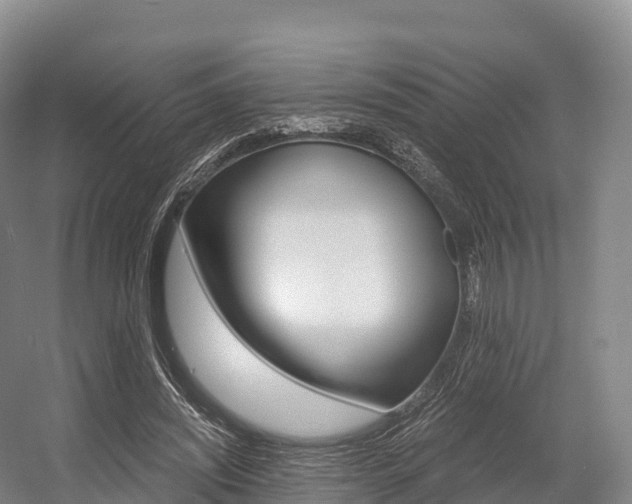 X0000055980444200508190733