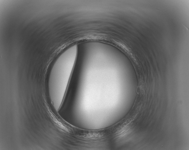 X0000055980445200508190733