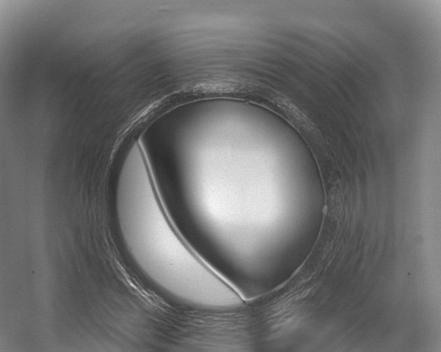 X0000055980446200508190733
