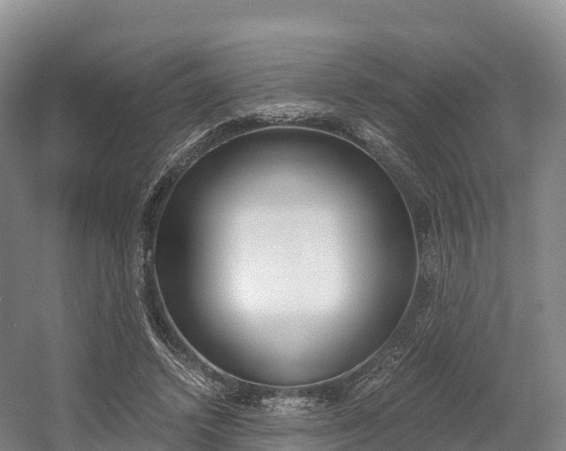 X0000055980448200508190733