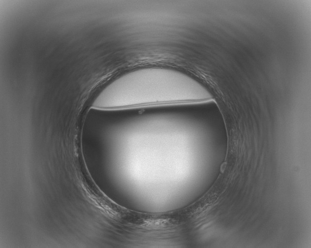 X0000055980450200508190733