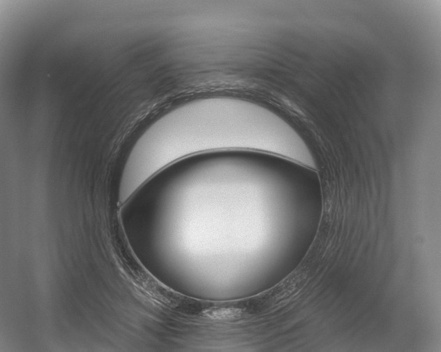X0000055980452200508190734