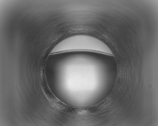 X0000055980456200508190734