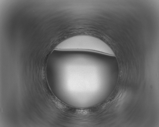X0000055980469200508190734