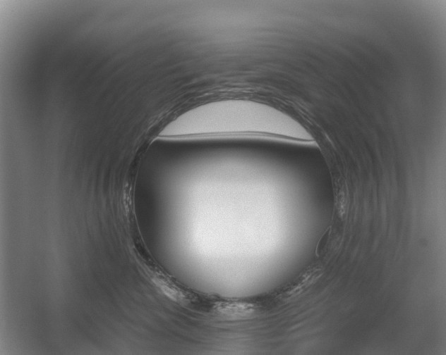 X0000055980476200508190734