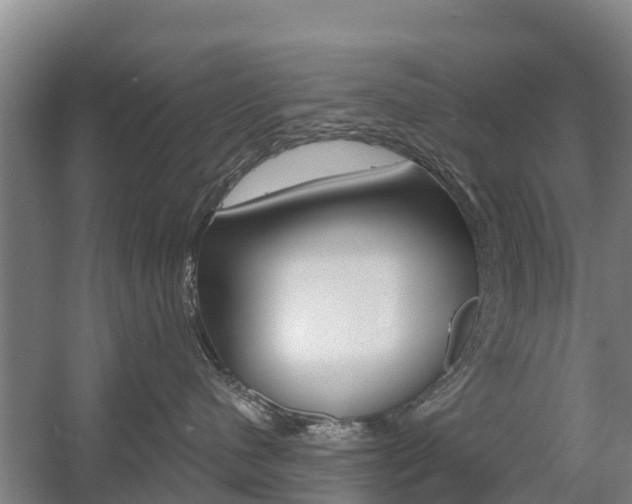 X0000055980480200508190734