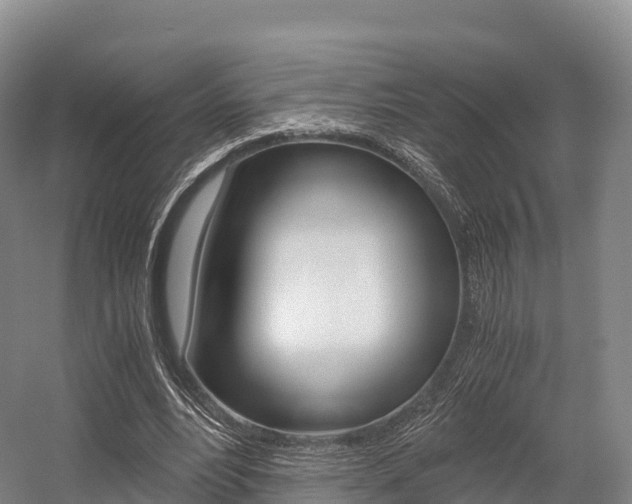 X0000055980488200508190733