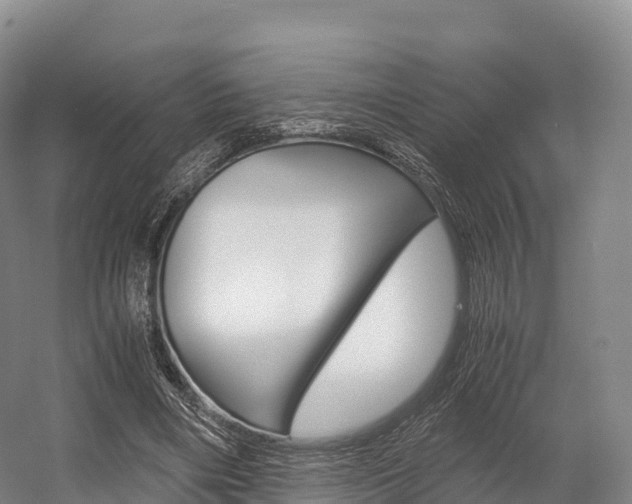 X0000055980490200508190733