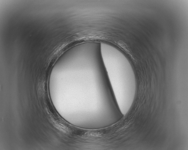 X0000055980491200508190733