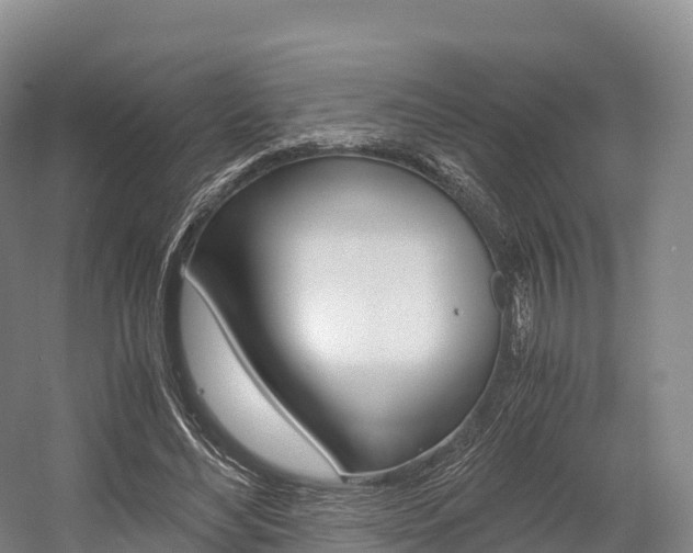 X0000055980492200508190733