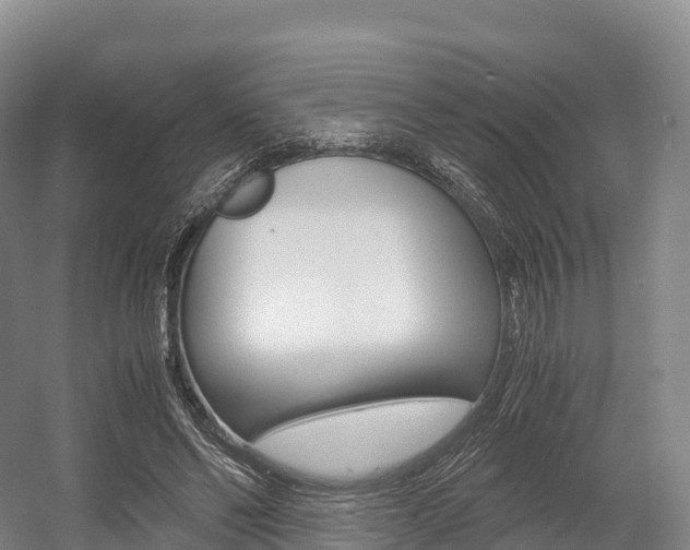 X0000055980494200508190733